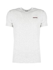 Dsquared2 T-shirt C-Neck - D9M203040 - Серый меланж  regular fit D9M203040 цена и информация | Мужские футболки | pigu.lt