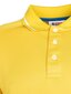 Polo marškinėliai vyrams Invicta 4452253, geltoni kaina ir informacija | Vyriški marškinėliai | pigu.lt