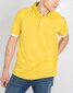 Polo marškinėliai vyrams Invicta 4452253, geltoni kaina ir informacija | Vyriški marškinėliai | pigu.lt