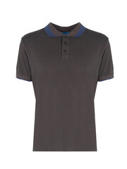 Polo marškinėliai vyrams Invicta 4452240, pilki цена и информация | Мужские футболки | pigu.lt