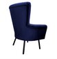 Svetainės fotelis Venecia Decorates, mėlynas цена и информация | Svetainės foteliai | pigu.lt