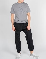 Marškinėliai vyrams Invicta 4451241 /, pilki kaina ir informacija | Vyriški marškinėliai | pigu.lt