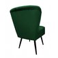 Svetainės fotelis Venecia Decorates, žalias kaina ir informacija | Svetainės foteliai | pigu.lt