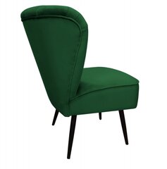Svetainės fotelis Venecia Decorates, žalias цена и информация | Кресла в гостиную | pigu.lt