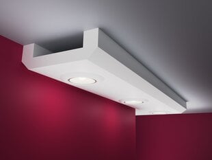 Подвесные потолки, LH15A 6x20x200cm цена и информация | Элементы декора для стен, потолка | pigu.lt