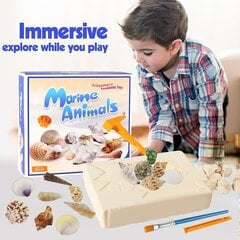 Kasimo rinkinys Lean Toys Moliuskai цена и информация | Развивающие игрушки | pigu.lt