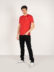 Marškinėliai vyrams North Sails, raudoni kaina ir informacija | Vyriški marškinėliai | pigu.lt