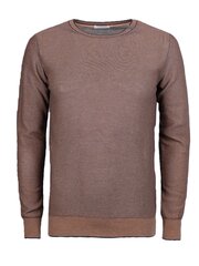 Paolo Pecora Свитер - A080 7604 0100 / Maglia - Коричневый  regular fit A080 7604 0100 / Maglia цена и информация | Мужские свитера | pigu.lt