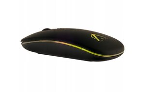 Mouse RGB kaina ir informacija | Žaidimų kompiuterių priedai | pigu.lt