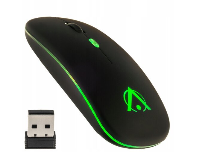 Mouse RGB цена и информация | Žaidimų kompiuterių priedai | pigu.lt