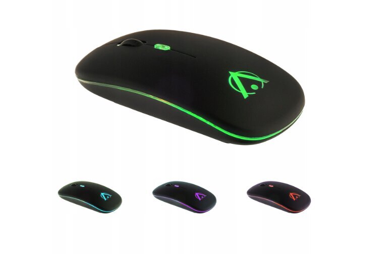 Mouse RGB цена и информация | Žaidimų kompiuterių priedai | pigu.lt