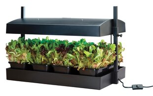 Grow Light Garden. цена и информация | Проращиватели, лампы для растений | pigu.lt