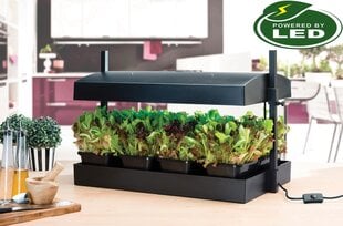 Grow Light Garden kaina ir informacija | Daigyklos, lempos augalams | pigu.lt