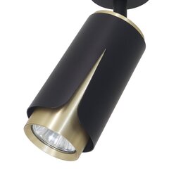 Потолочный светильник Milagro Flower ML0264 цена и информация | Потолочные светильники | pigu.lt