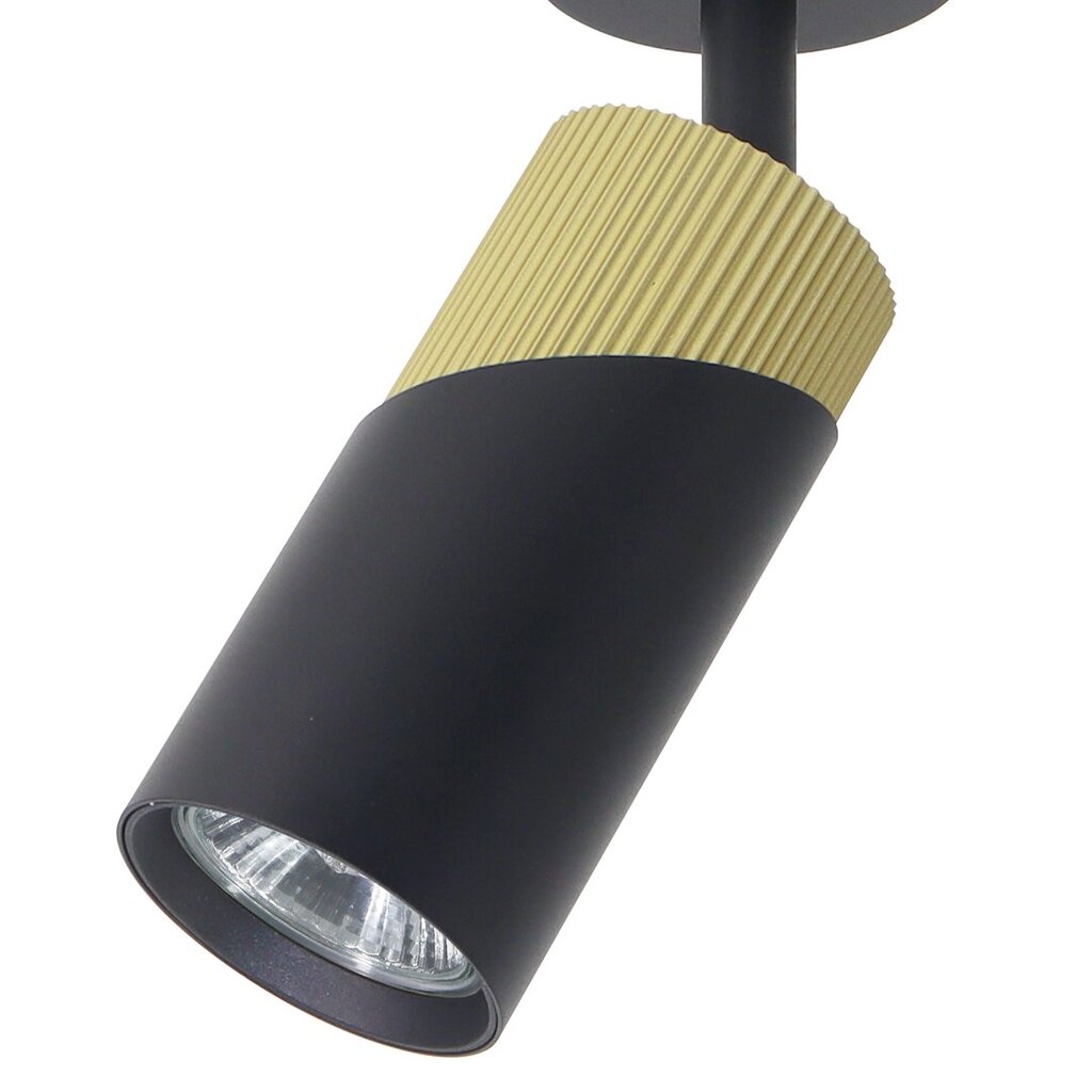 Milagro lubinis šviestuvas Neo ML0280 kaina ir informacija | Lubiniai šviestuvai | pigu.lt