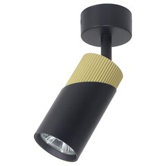 Потолочный светильник Milagro Neo ML0280 цена и информация | Потолочные светильники | pigu.lt