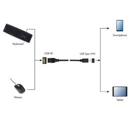 Perėjimo adapteris USB lizdas - mini USB kištukas, USB-BF/MUSB kaina ir informacija | USB adapteriai gamyklinei garso sistemai | pigu.lt