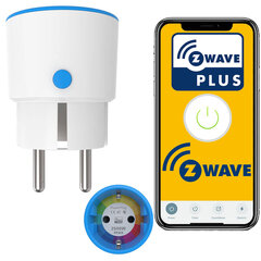 Tuya ZWave Plus WiFi kaina ir informacija | Elektros jungikliai, rozetės | pigu.lt