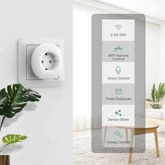 Etersky WI-FI išmanusis elektros lizdas su Google Home Smart Life programelė (4 vienetai) цена и информация | Выключатели, розетки | pigu.lt