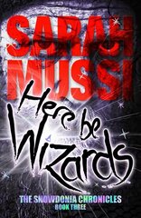 Here be Wizards: The Snowdonia Chronicles: Book Three цена и информация | Книги для подростков  | pigu.lt