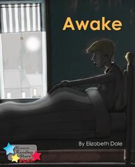 Awake цена и информация | Книги для подростков и молодежи | pigu.lt