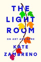 Light Room kaina ir informacija | Biografijos, autobiografijos, memuarai | pigu.lt