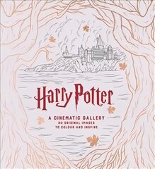 Harry Potter A Cinematic Gallery kaina ir informacija | Knygos apie meną | pigu.lt