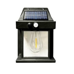 Лампа с солнечным элементом цена и информация | Уличные светильники | pigu.lt