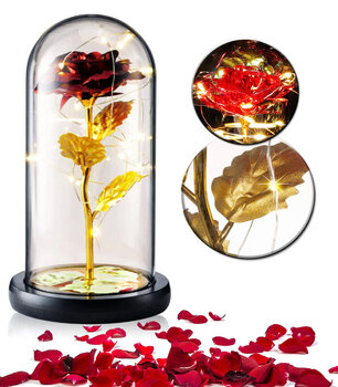 Stabilizuota amžinoji rožė su LED kaina ir informacija | Miegančios rožės, stabilizuoti augalai | pigu.lt