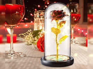 Вечная роза в стекле со светодиодной подсветкой, красная цена и информация | Спящие стабилизированные розы, растения | pigu.lt