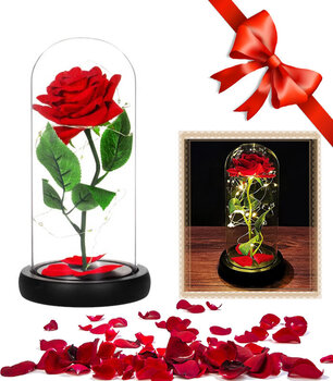 Stabilizuota amžinoji rožė su LED kaina ir informacija | Miegančios rožės, stabilizuoti augalai | pigu.lt