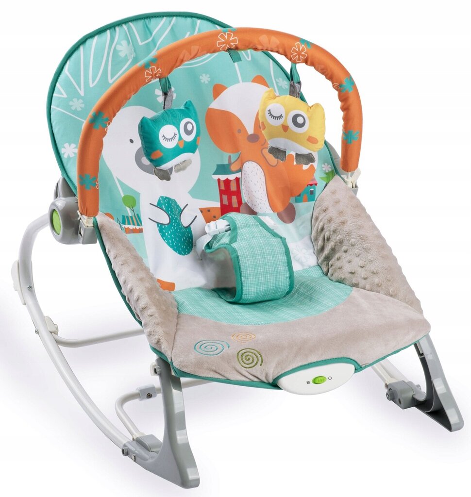 Sūpuoklė - kėdutė kūdikiui Ricokids 7309, green kaina ir informacija | Gultukai ir sūpynės | pigu.lt