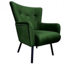 Fotelis Premiere Decorates, žalias цена и информация | Кресла в гостиную | pigu.lt