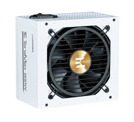 Zalman ZM850-TMX2 White цена и информация | Блоки питания (PSU) | pigu.lt