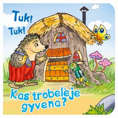 Tuk! Tuk! Kas trobelėje gyvena? цена и информация | Книги для детей | pigu.lt