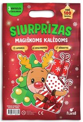 Siurprizas Magiškoms Kalėdoms kaina ir informacija | Spalvinimo knygelės | pigu.lt