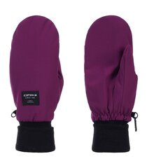 Женские перчатки Icepeak Hansell 58859-2*205, светло-серые, 6438522970015 цена и информация | Женские перчатки | pigu.lt