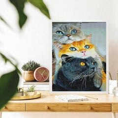 Алмазная Мозаика на Раме Три кошки 5D Diamond Painting Oh Art! 40x50 cm цена и информация | Алмазная мозаика | pigu.lt