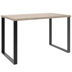 Rašomasis stalas Aatrium Home Desk, 120x70x75, rudas kaina ir informacija | Kompiuteriniai, rašomieji stalai | pigu.lt