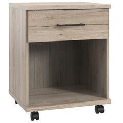Stalčių dėžė Aatrium Home Desk, 46x40x58 cm, ruda kaina ir informacija | Kompiuteriniai, rašomieji stalai | pigu.lt