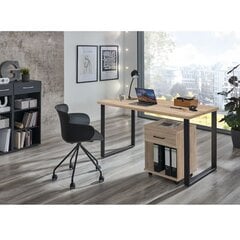 Ящик Aatrium Home Desk, 46x40x58 см, коричневый цвет цена и информация | Компьютерные, письменные столы | pigu.lt