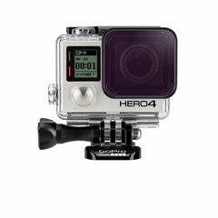 GoPro ABDFM-301 цена и информация | Аксессуары для видеокамер | pigu.lt