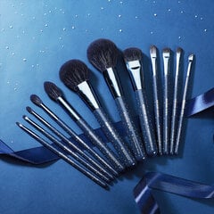 Eigshow Beauty ZODIAC series 12-piece professional makeup brush set цена и информация | Кисти для макияжа, спонжи | pigu.lt
