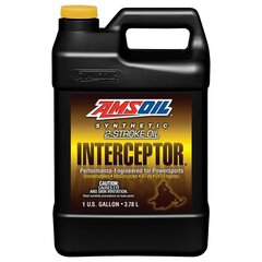 Amsoil Interceptor Synth 2-Stroke Oil variklinė alyva, 3.784 l цена и информация | Моторные масла | pigu.lt