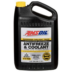 Aušinimo skystis Amsoil Pass Light 3.784 L цена и информация | Очищающие и охлаждающие жидкости | pigu.lt