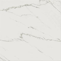 PLYTELĖ CERSANIT G434 WHITE SATIN 42X42 цена и информация | Плитка на пол | pigu.lt