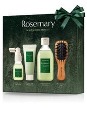 Plaukų priežiūros rinkinys Aromatica Rosemary Scalp Trial Kit kaina ir informacija | Aromatica Kvepalai, kosmetika | pigu.lt