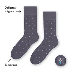   цена и информация | Мужские носки | pigu.lt