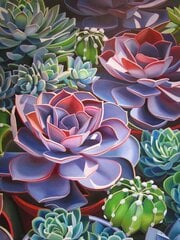 Deimantinė mozaika su rėmeliu TM Varvikas - Succulent LE153e 30x40 cm kaina ir informacija | Deimantinės mozaikos | pigu.lt