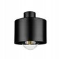 Ledlux lubinis šviestuvas kaina ir informacija | Lubiniai šviestuvai | pigu.lt